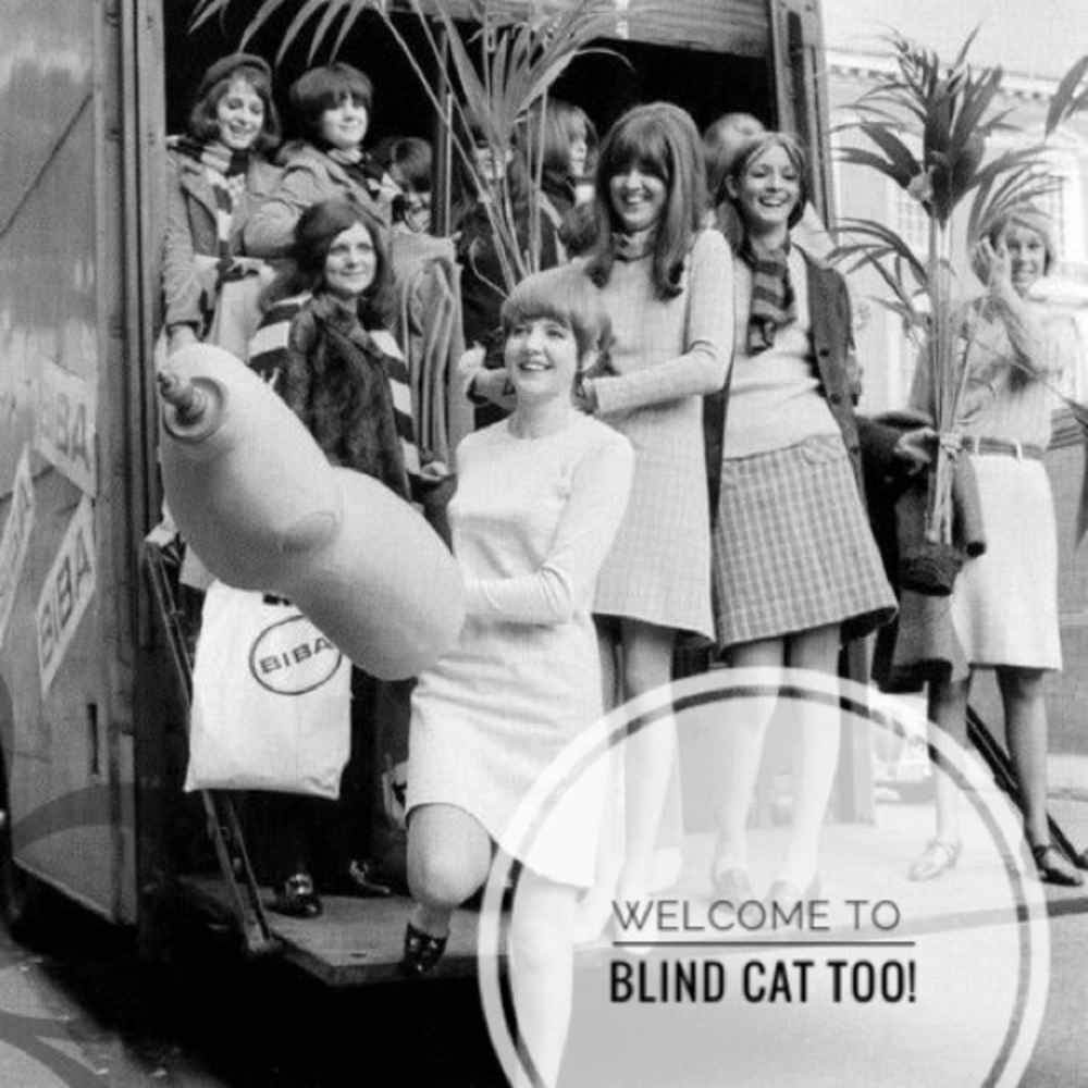 Welcome to My Shop! 🐈